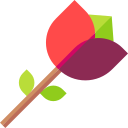 rosa icon