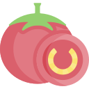 tomate icon