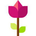 rosa icon