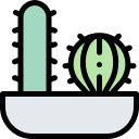 cactus icon