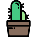 cactus icon