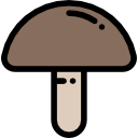 seta icon