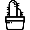 cactus icon