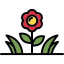 primavera icon