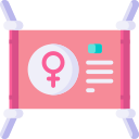 feminismo 