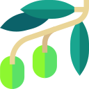 aceituna icon