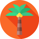 palmera 