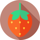 fresa icon