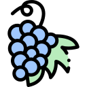 uvas icon