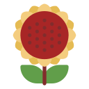 girasol icon