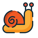 caracol