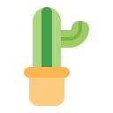 cactus icon