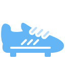 zapatos icon