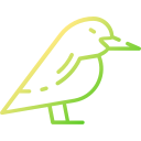 pájaro icon