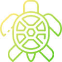 tortuga icon