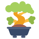 bonsai