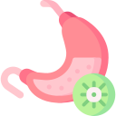 cáncer de estómago icon