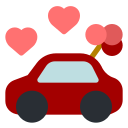 coche de boda icon