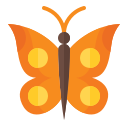 mariposa icon