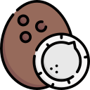 coco icon