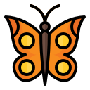 mariposa