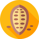 grano de cacao 