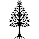 forma triangular de árbol con raíces 