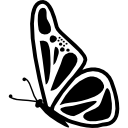 vista lateral de la mariposa icon