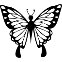 mariposa con alas delicadas desde la vista superior icon
