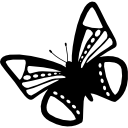 diseño de mariposa con lunares y rayas. 