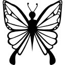 vista superior del diseño de mariposa femenina icon