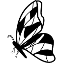 vista lateral de mariposa con diseño de alas irregulares 