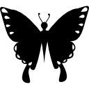 vista superior de insectos de forma negra de mariposa icon