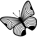 desenho de borboleta de asas com listras finas 