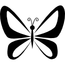 mariposa con perspectiva de alas desde la vista superior 
