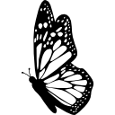 Вид сбоку бабочки с детализированными крыльями 