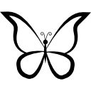 diseño de contorno de mariposa desde la vista superior icon