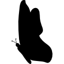 forma de silueta negra de vista lateral de mariposa icon