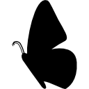 forma de vista lateral de mariposa icon
