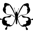 diseño de vista superior de mariposa 