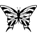 diseño de mariposa desde la vista superior 