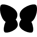 pareja de alas de mariposa icon