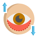 blefaroplastia 