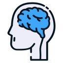 대뇌 icon