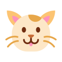 gato icon