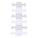 columna vertebral icon