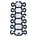 columna vertebral