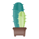 cactus icon