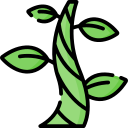 beanstalk icon