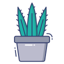 aloe vera icon